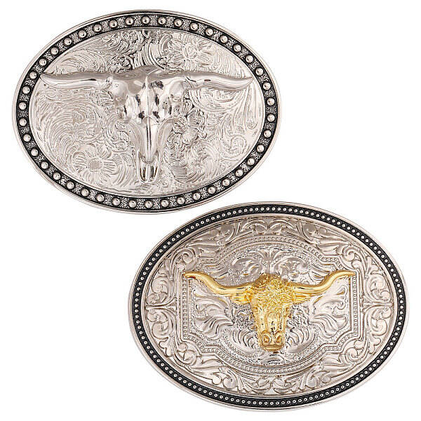 2Pcs 2 Styles Alloy Smooth Buckles