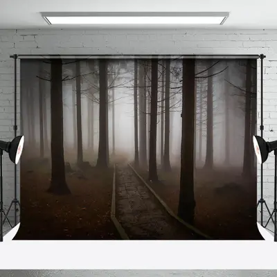 Aperturee Gloomy Misty Dawn Forest Stone Path Forest Backdrop - Aperturee