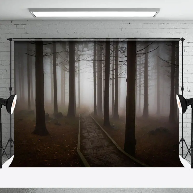 Aperturee Gloomy Misty Dawn Forest Stone Path Forest Backdrop - Aperturee