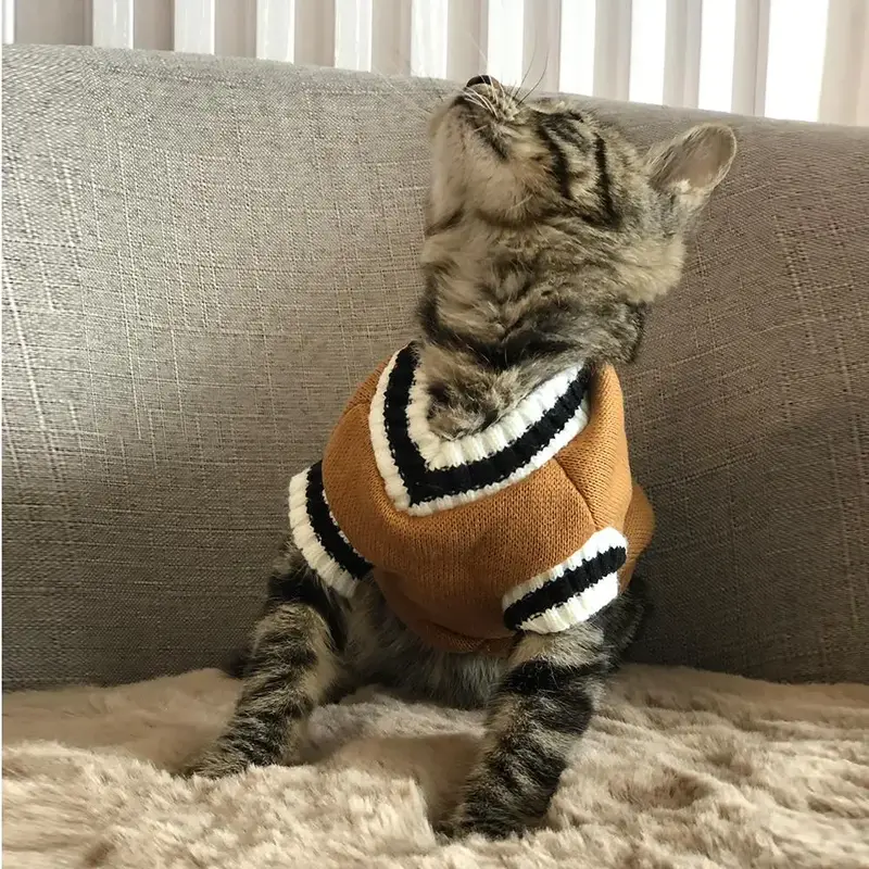 Striped Pattern Pet Sweater, Casual Comfortable V Neck Contrast Binding Sweater, Dog Costumes, Pet Winter Clothes for Small M...