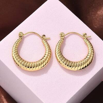 304 Stainless Steel Hoop Earrings for Women