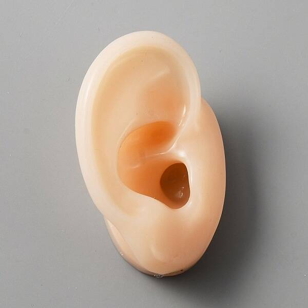 Silicone Ear Flexible Model Body Part Displays