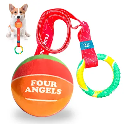 Smart LED Dog Ball, Interactive Self-Rolling Toy, Motion Activated Rechargeable Ball for Dogs, Ideal for Indoor Play and Exer...
