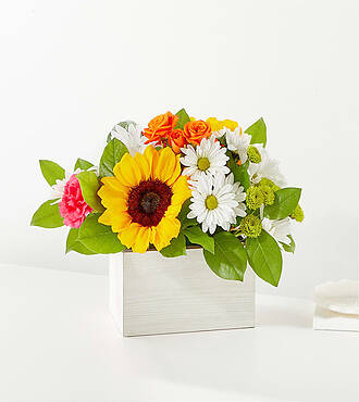 Sun - drenched Blooms Box Bouquet
