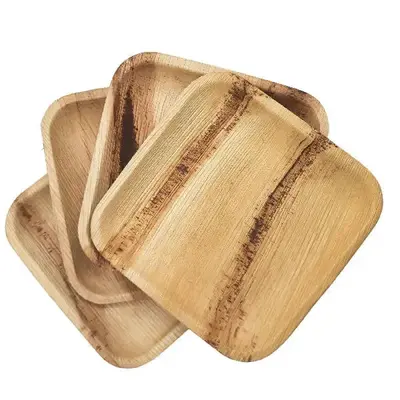 Dtocs Palm Leaf Plates - 7 Inch Square (Pack 50) | Bamboo Plate Like Compostable Disposable Wedding Plates - USDA Certified B...