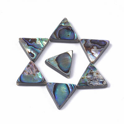Abalone Shell/Paua Shell Beads