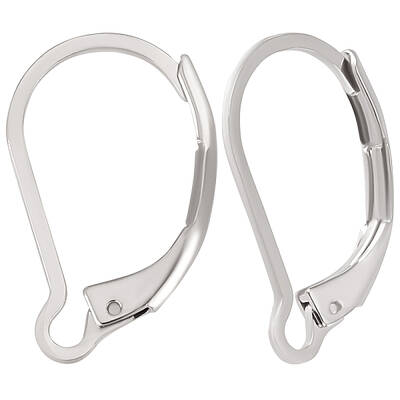 100Pcs 304 Stainless Steel Leverback Earring Findings