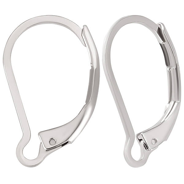 100Pcs 304 Stainless Steel Leverback Earring Findings