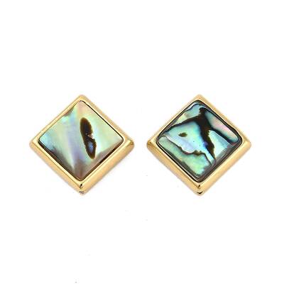 Natural Paua Shell Beads