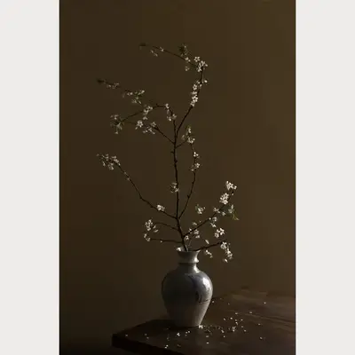 Branches and Blossoms - 8 | Size: 16