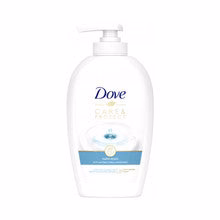 Dove Liquid soap Care & Protect 250 ml