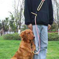 Dog Leash, Dual-ended Gradient Color Pet Leash, Adjustable Pet Leash For Outdoor Walking