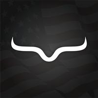 USA edition Longhorn Decal
