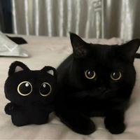 Cat Design Plush Toy, 1 Count Cute Cat Plush Keychain, Super Soft Cuddly Cat Stuffed Animal, Kawaii Plushies, Perfect for Tee...