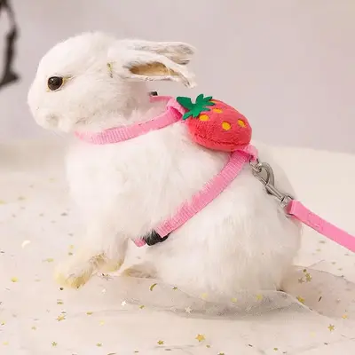 Fruit Plush Decor Rabbit Harness with Random Color Leash, Adjustable Breathable Pet Harness for Small Pets, Small Animal Supp...