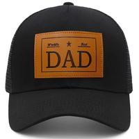 Birthday Gifts for Dad Unique - Dad Birthday Gift, Gifts for Dad for Birthday, Fathers day, Christmas - Gifts for Dad from Da...