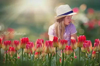 Aperturee Flowers Tulips Spring Summer Photography Backdrop