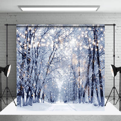 Bright Light Twinkling Snowy Winter Forest Backdrop - Aperturee