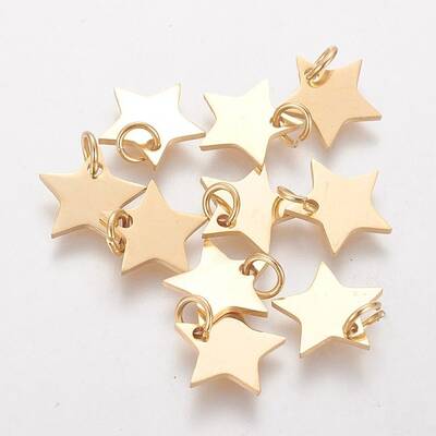Ion Plating(IP) 304 Stainless Steel Charms