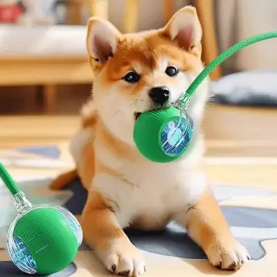 Automatic Pet Toy Ball with Rope, 1 Count Interactive Pet Teaser Toy, Rechargeable Pet Rolling Ball for Dogs & Cats, Pet Supp...