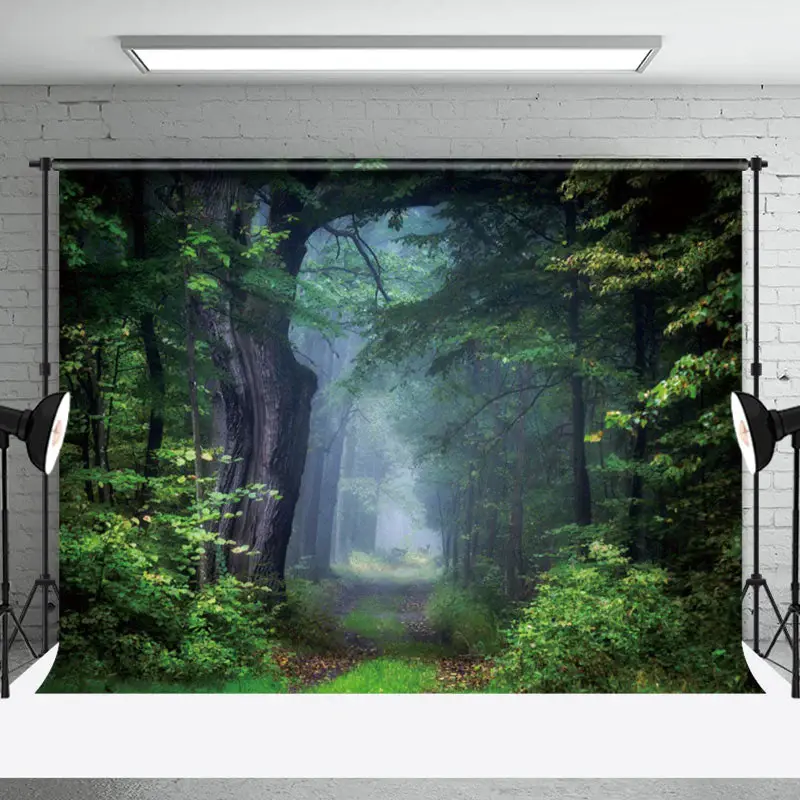 Nature Trees Path Forest Backdrop For Photo Booth - Aperturee