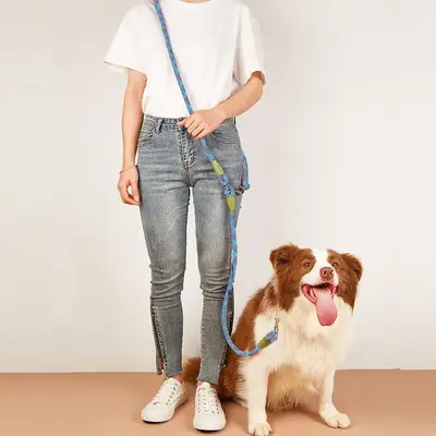 Dog Leash, Adjustable Pet Leash for Small Medium Large Dogs, Pet Supplies for Outdoor Walking Travel Decor
