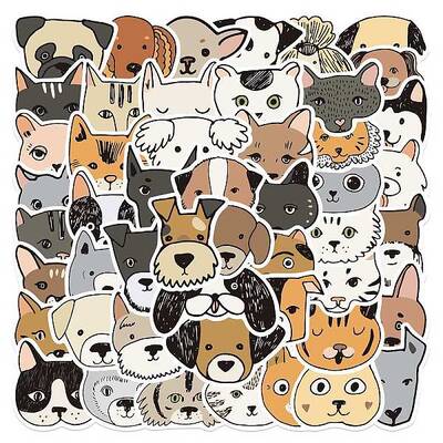Waterproof PVC Adhesive Stickers