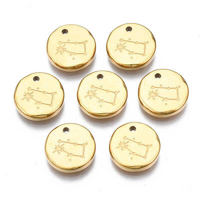 316 Surgical Stainless Steel Charms