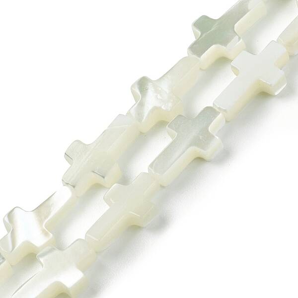 Natural Trochid Shell/Trochus Shell Beads Strands