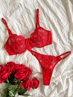 Two-piece Set Women's Floral Lace Underwire Underwear Set, Fall Wear, Sexy Adjustable Strap Bra & Sheer Thong, Ladies Underwe...