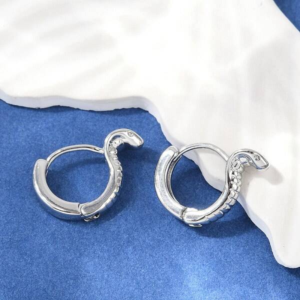 Brass Hoop Earrings