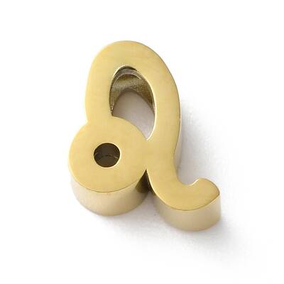 Constellation 304 Stainless Steel Charms