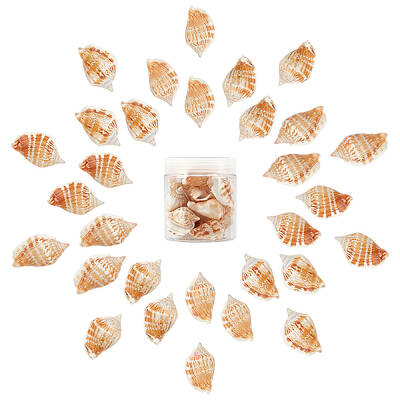 Natural Conch Shell Beads