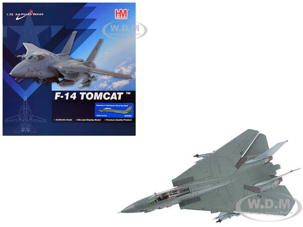 Grumman F-14A Tomcat Fighter Aircraft \