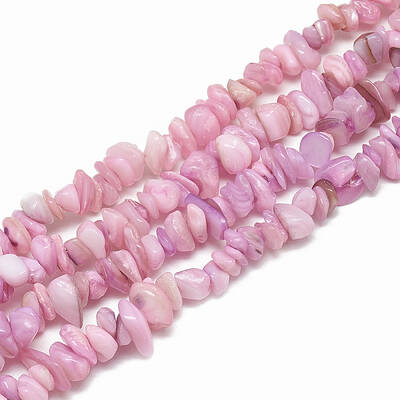 Freshwater Shell Beads Strands