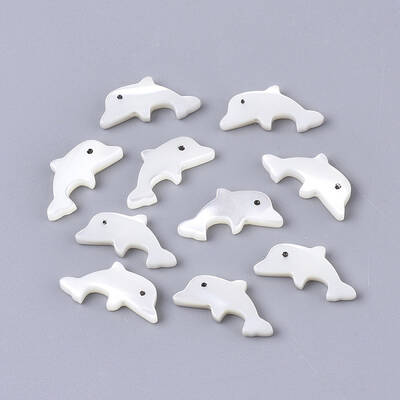 Natural Trochid Shell/Trochus Shell Beads