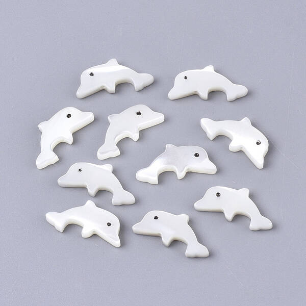 Natural Trochid Shell/Trochus Shell Beads