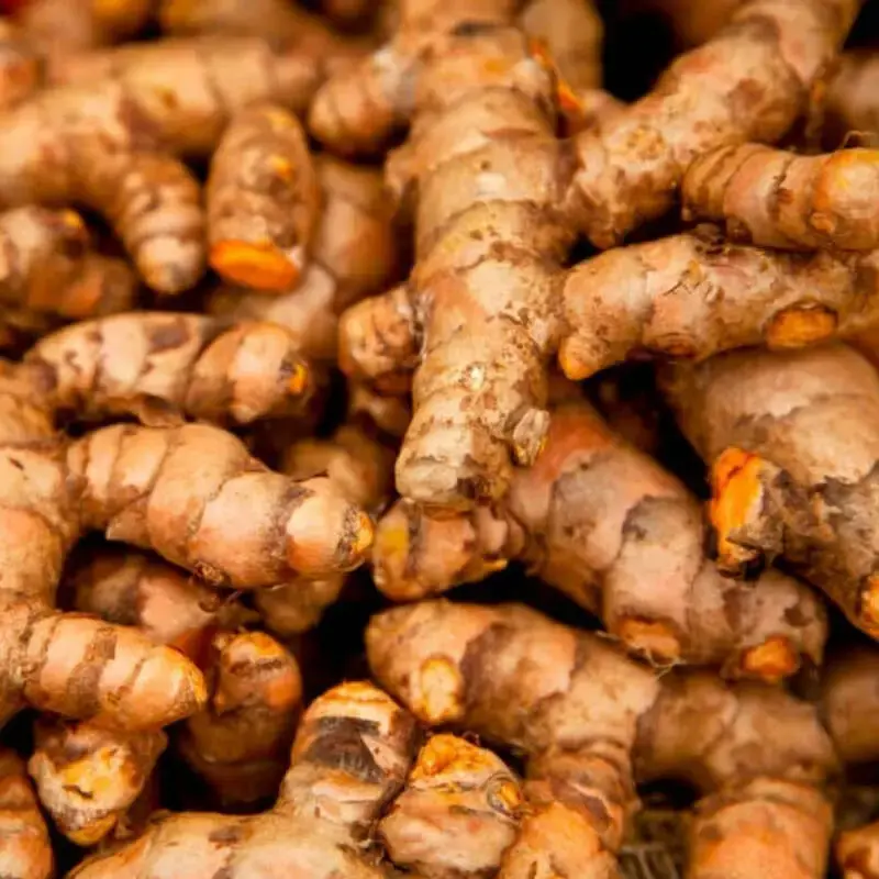 Hoss Turmeric Roots | Organic | USA Grown