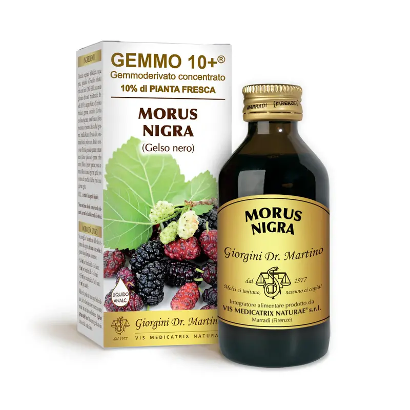 Dr Giorgini gemmo 10+ black mulberry 100 ml non-alcoholic liquid