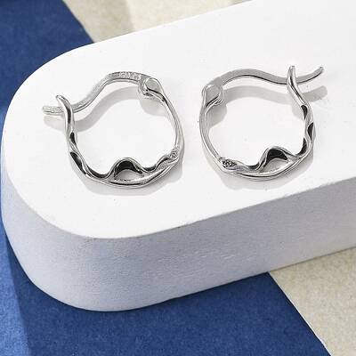 S925 Sterling Silver Hoop Earrings for Women