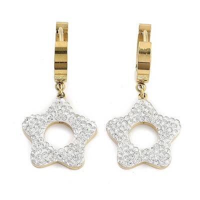 304 Stainless Steel Dangle Earrings