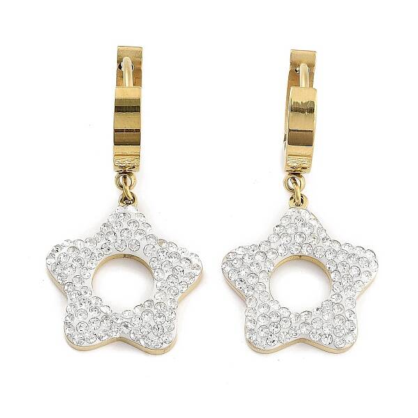 304 Stainless Steel Dangle Earrings
