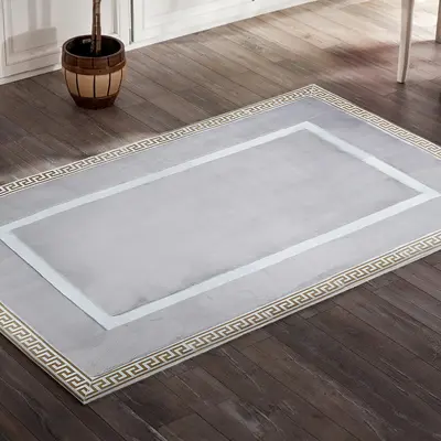 Gold Lined Gray Plush Carpet with Silver Border