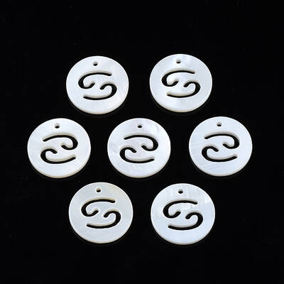 Natural Freshwater Shell Charms