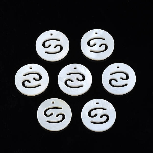 Natural Freshwater Shell Charms