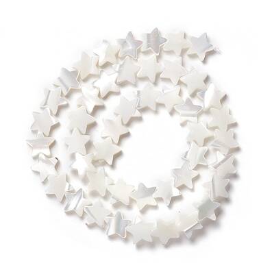Natural Trochid Shell/Trochus Shell Beads