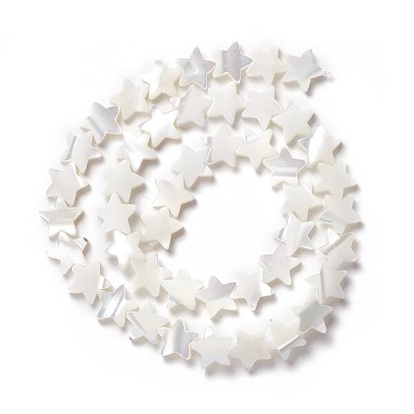 Natural Trochid Shell/Trochus Shell Beads