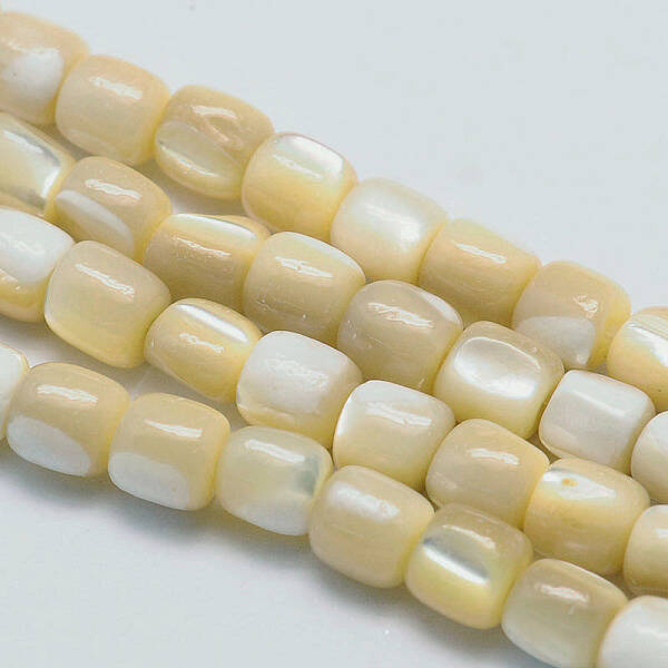 Natural Sea Shell Column Bead Strands