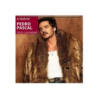 Pedro Pascal 2025 Wall Calendar Planner, Unique Holiday Gift, Fan Gift, Gift For Her, Pedro Pascal Celebrity Merchandise, Cel...