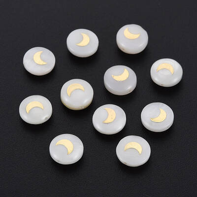 Natural Freshwater Shell Beads